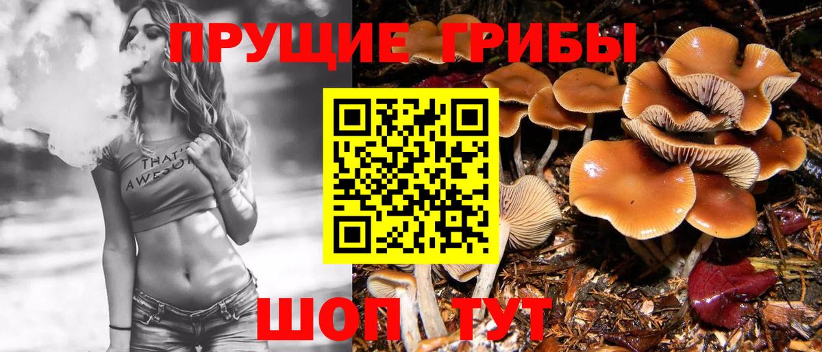 где купить наркоту  Галлюциногенные грибы Magic Shrooms  Галлюциногенные грибы Psilocybe  Вход с VPN  Кстово 