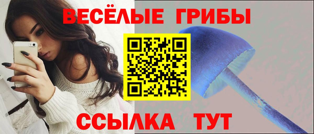 Бошки Шишки  ГАШИШ  ЭКСТАЗИ  Кстово  Мефедрон кристаллы  Продажа наркотиков  Вход с VPN 